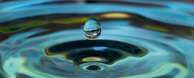 Water droplet causing ripples