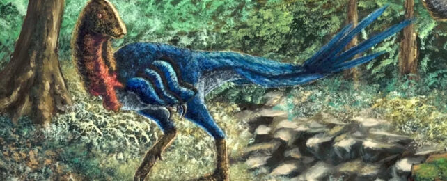 Hell Chicken Discovery Could Tell Us Just How Doomed The Dinosaurs Were