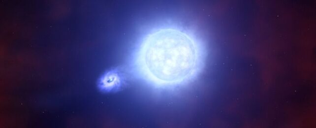 In a Huge First, Scientists Have Observed The 'Missing Link' Between Stars And Black Holes