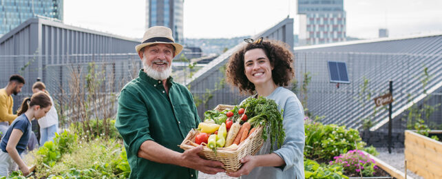 people holding a basket of vegetables on rooftop garden