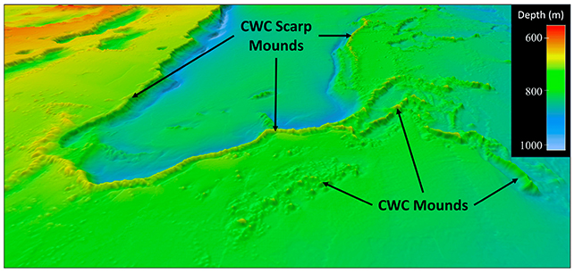 3D map of deep sea reef and coral mounds