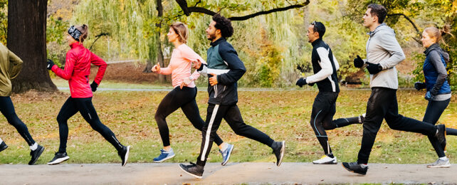 group of people running in the park