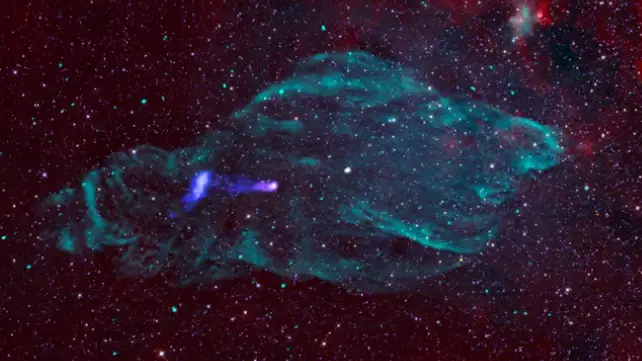 image of the manatee nebula