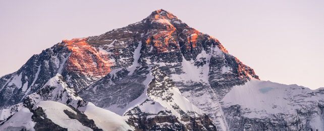 Indian Tectonic Plate Is Splitting in Two Beneath Tibet, Latest Analysis Finds