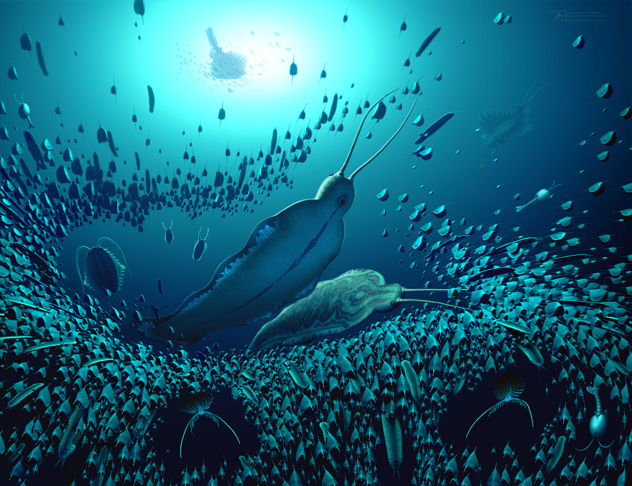 'Giant' Predator Worm That Ruled Ancient Oceans Discovered in Greenland