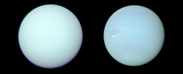 New Images Reveal The Surprising Truth About What Neptune Really Looks Like