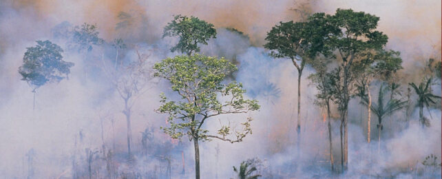 Amazon rainforest disappearing behind wildfire smoke