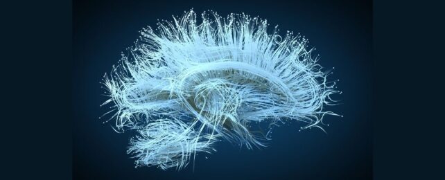 New 'Prosthetic' Hacks The Brain to Recall Specific Memories