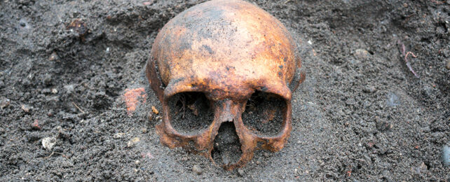Buried skull