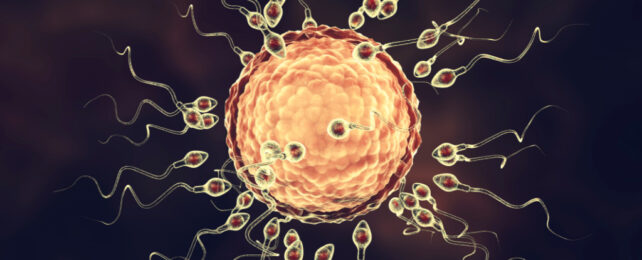 Computer illustration of egg cell surrounded by sperm cells.