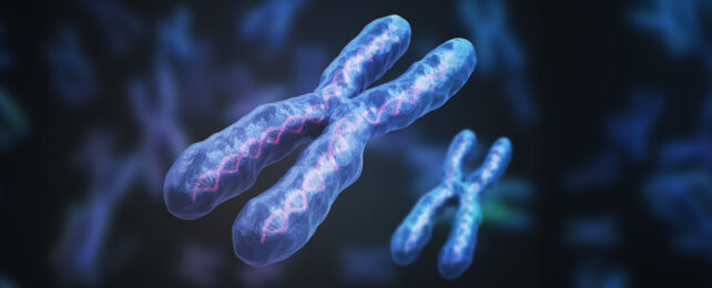 4 Out of 5 Autoimmune Patients Are Female: The X Chromosome Could Explain Why