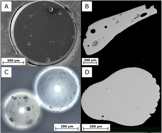 Pannello di quattro immagini in bianco e nero che mostrano particelle di vetro sferiche e allungate.