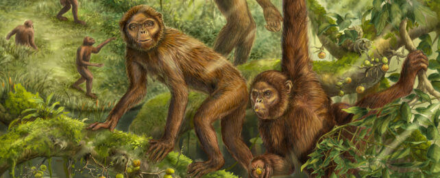 Illustration of ancient apes moving about through trees on two limbs, four limbs and using their arms.