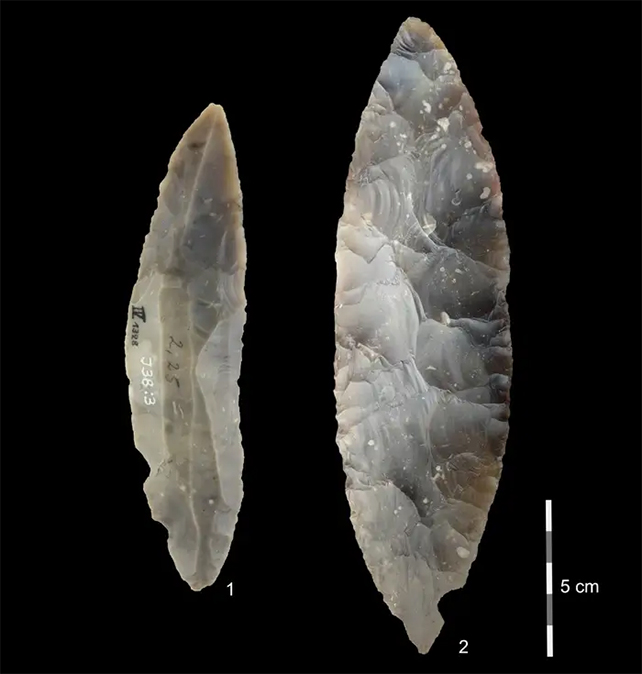two stone tips of ancient projectiles