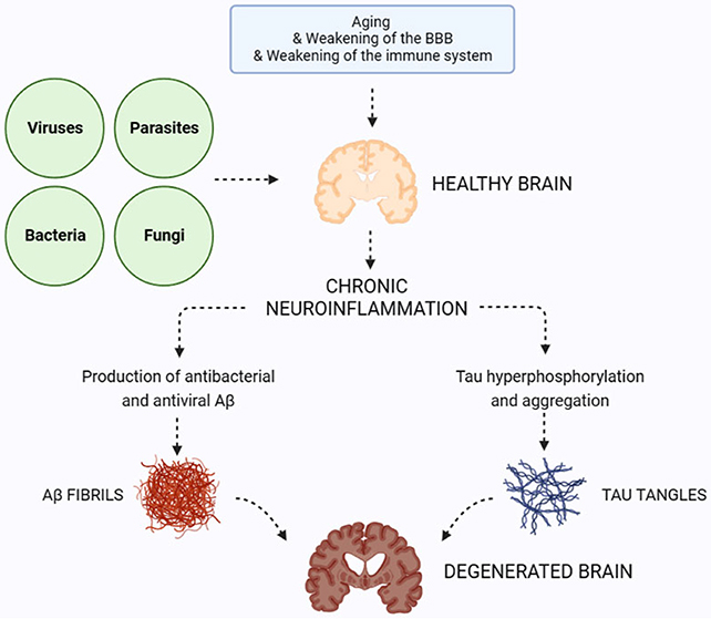 Nose pathogens