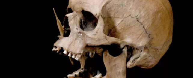 Human skull positioned with jaw open, with an arrow piercing through its nose.