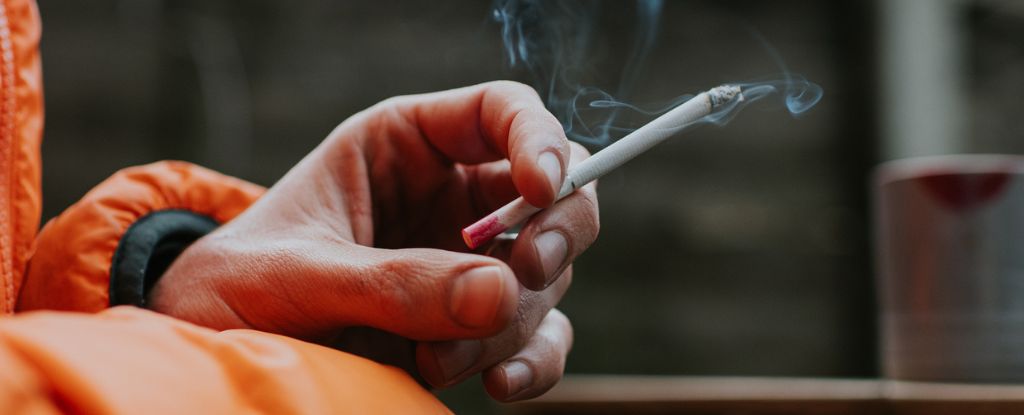 Los científicos revelan lo que sucede con su esperanza de vida cuando deja de fumar: Heaven32