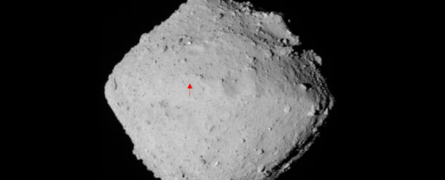 Asteroid Ryugu