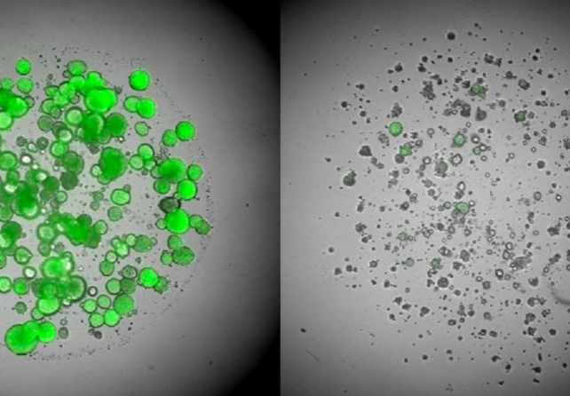 Small green circles on the left and most of them cleared on the right