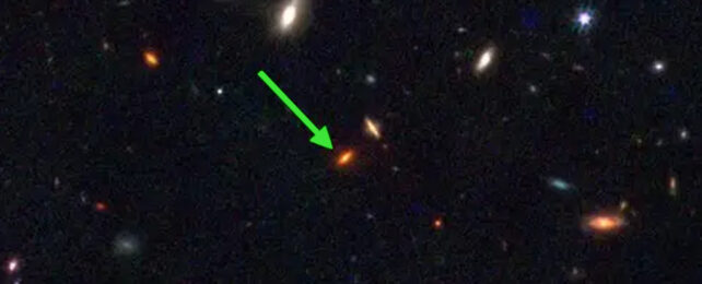 JWST image of the 13 billion year old galaxy