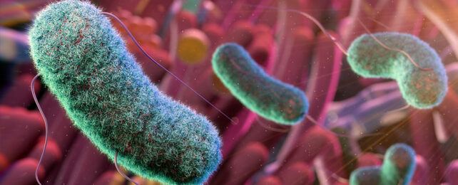 cgi gut microbes