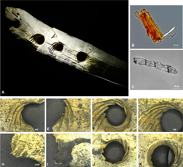 close up images of the grooves around the Hohle Fels Cave artifact