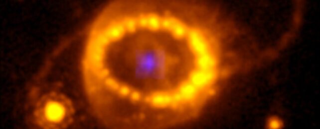 In 1987, We Saw a Star Explode. JWST Finally Found Evidence of Its Remains.