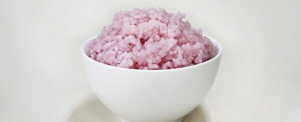 Scientists Invent New Hybrid Food by Growing Beef Inside Grains of Rice ...