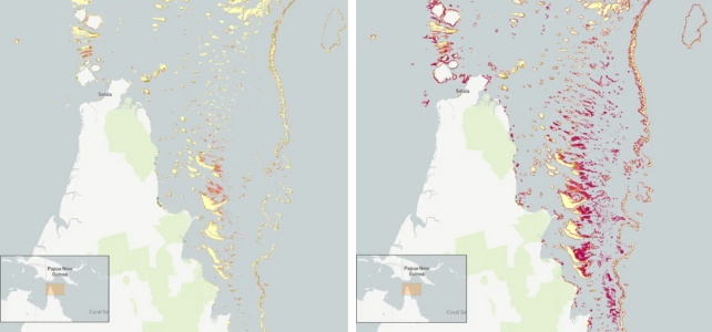 newly detected coral in reefs off far north Queensland