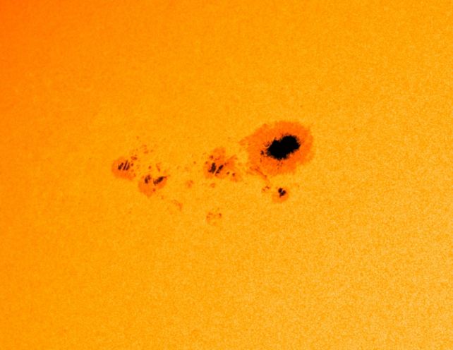 Auringonpilkkualue AR 3590. (kuva: NASA SDO)