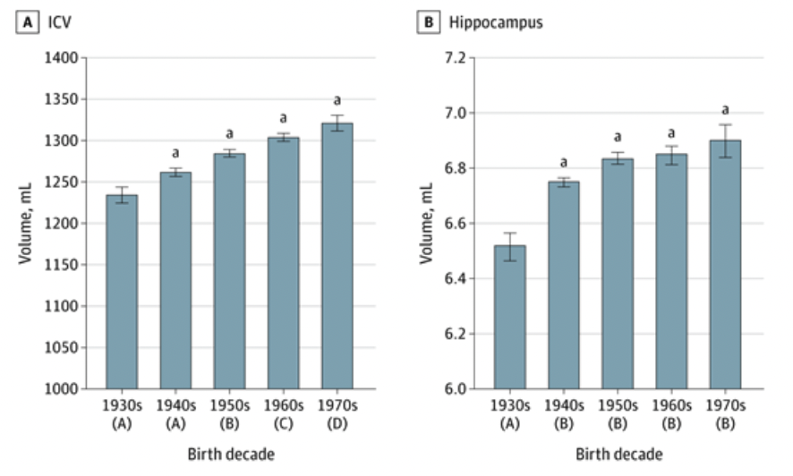 Generational Brain Size Increase What Does It Mean for Brain Health