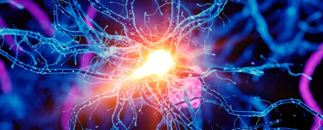 Bright Neuron In Brain