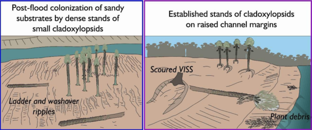 Fossil Water Interactions