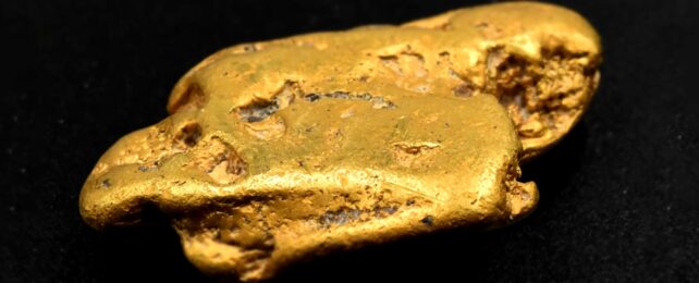 Gold Nugget Close Up