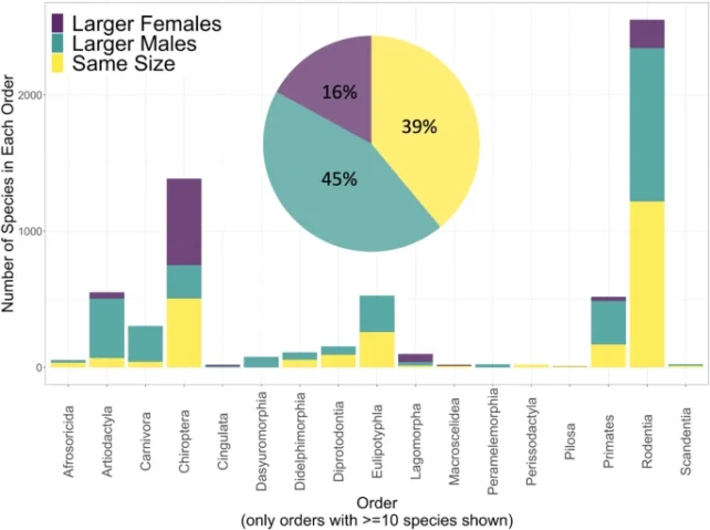 Sexual Dimorphism Mammals