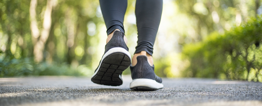 Scientists Reveal Optimal Number of Daily Steps to Offset Sitting Down : ScienceAlert