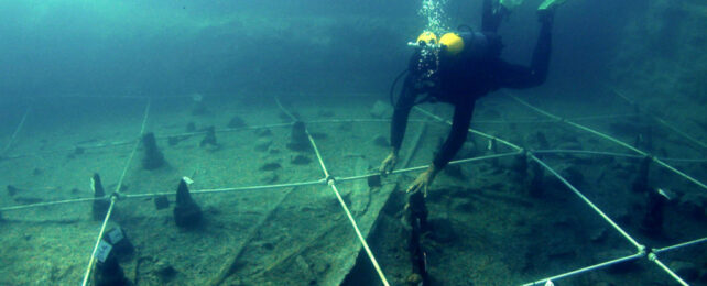 Scuba diver swimming archeological site marked out in sections with white ropes.