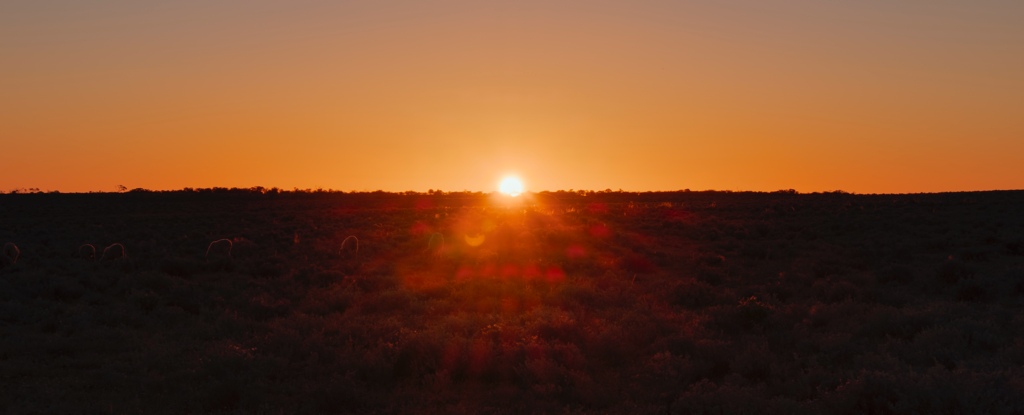 Sun Rises In Outback