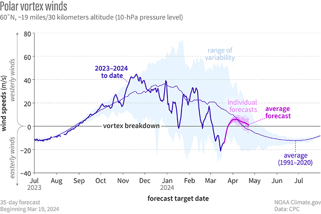 Polar vortex chart