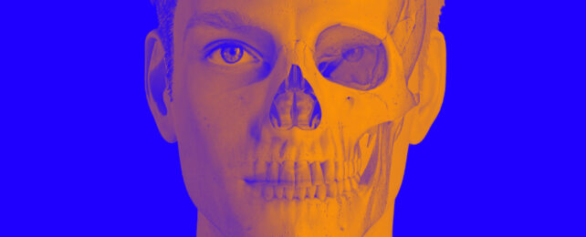 Young Man Skull Face
