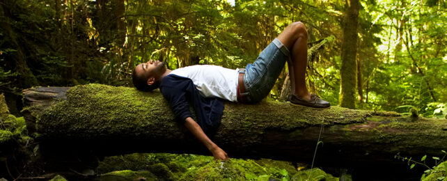 man laying on a log in a forest