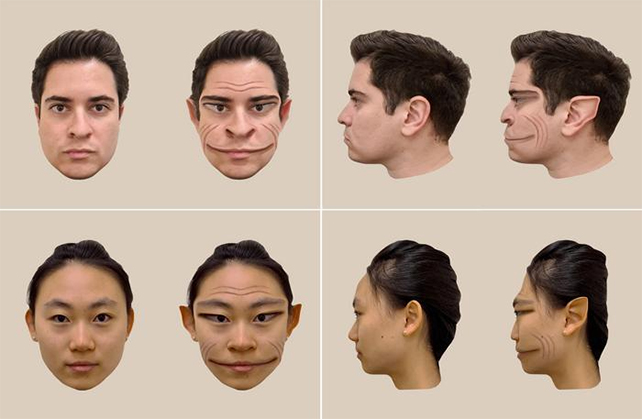 man and woman examples of PMO distortion