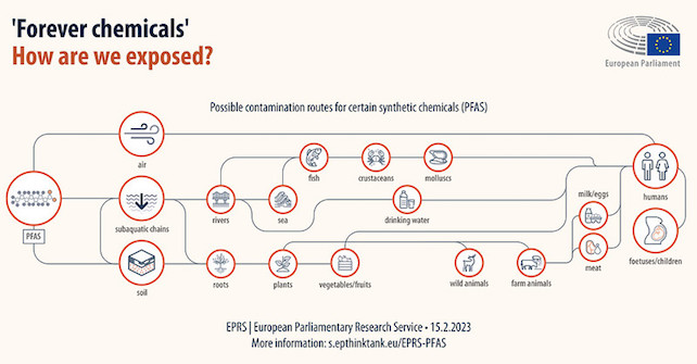 infographic explaining how humans are usually exposed to PFAS