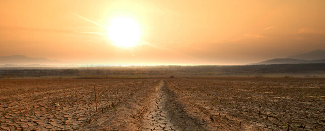 sun over a parched landscape