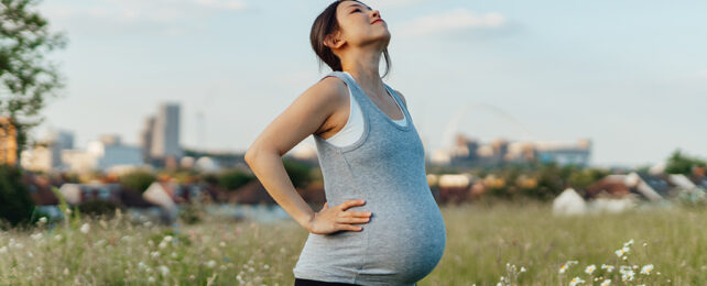 pregnant woman in a field