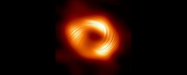 Magnetic Fingerprints of The Milky Way's Black Hole Revealed in Stunning Image