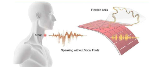 diagram of throat patch