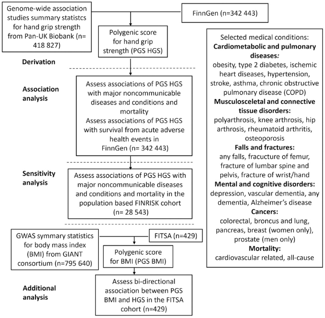 A flow chart of the study design and workflow