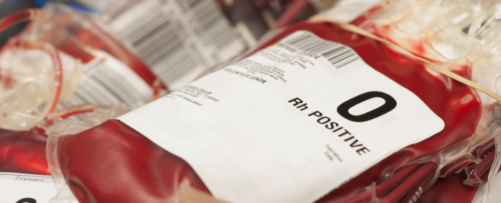 Las enzimas descubiertas en las bacterias intestinales pueden cambiar los grupos sanguíneos de un donante: Heaven32