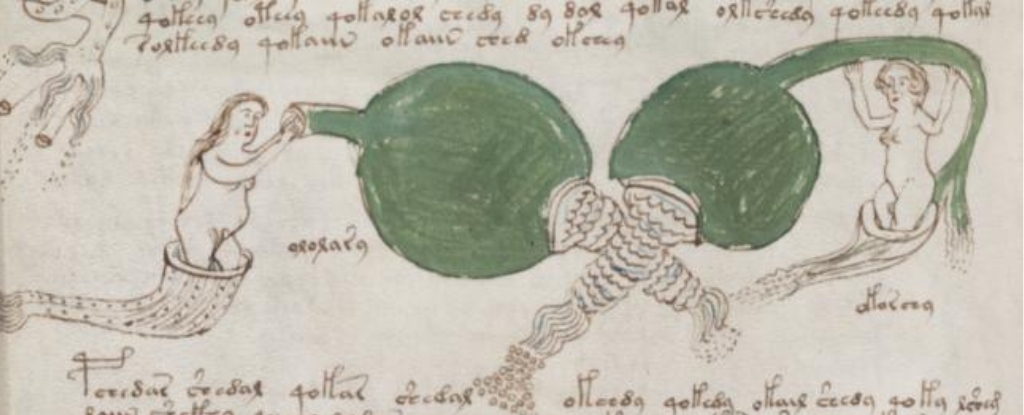 Voynich Manuscript Finally Decoded? Medieval Sex Secrets May Hide in Mysterious Text